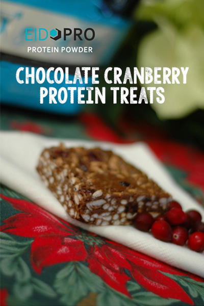 Chocolate Cranberry Protein Treats